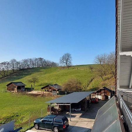 Grosse Tolle 4 Zimmer Ferienwohnung Im Herzen Des Odenwaldes Mörlenbach Eksteriør billede