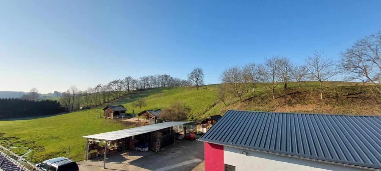 Grosse Tolle 4 Zimmer Ferienwohnung Im Herzen Des Odenwaldes Mörlenbach Eksteriør billede