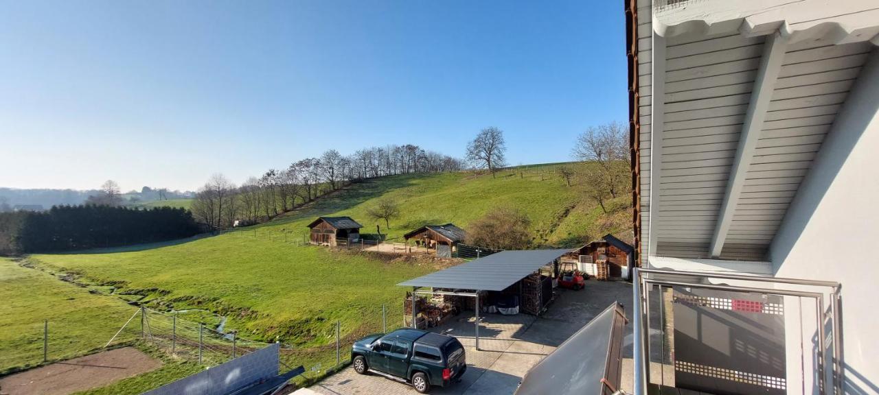 Grosse Tolle 4 Zimmer Ferienwohnung Im Herzen Des Odenwaldes Mörlenbach Eksteriør billede