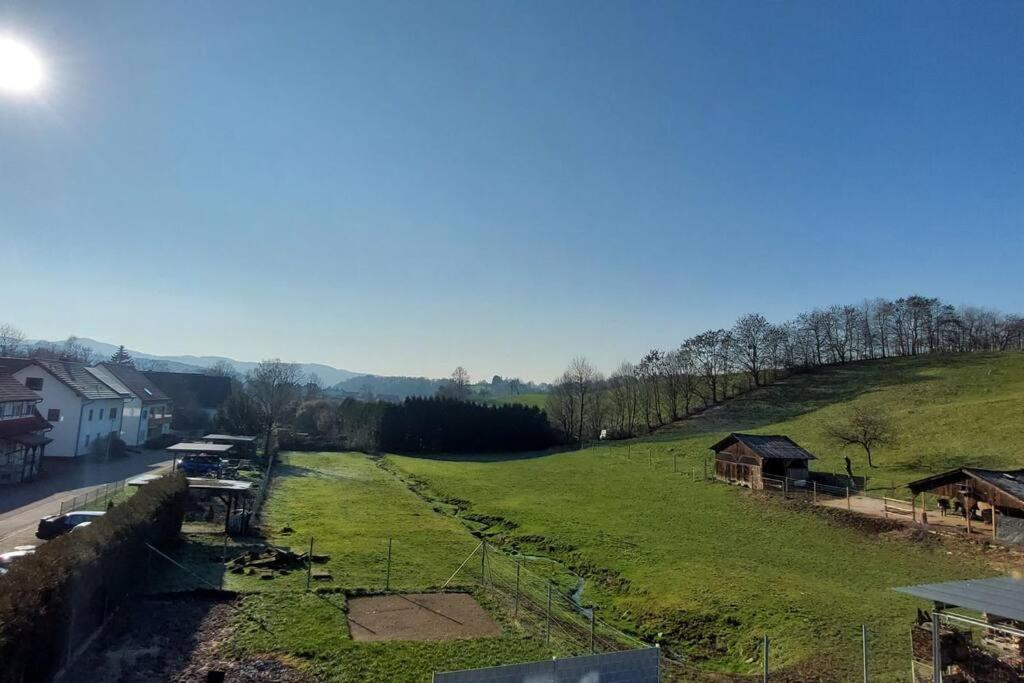 Grosse Tolle 4 Zimmer Ferienwohnung Im Herzen Des Odenwaldes Mörlenbach Eksteriør billede