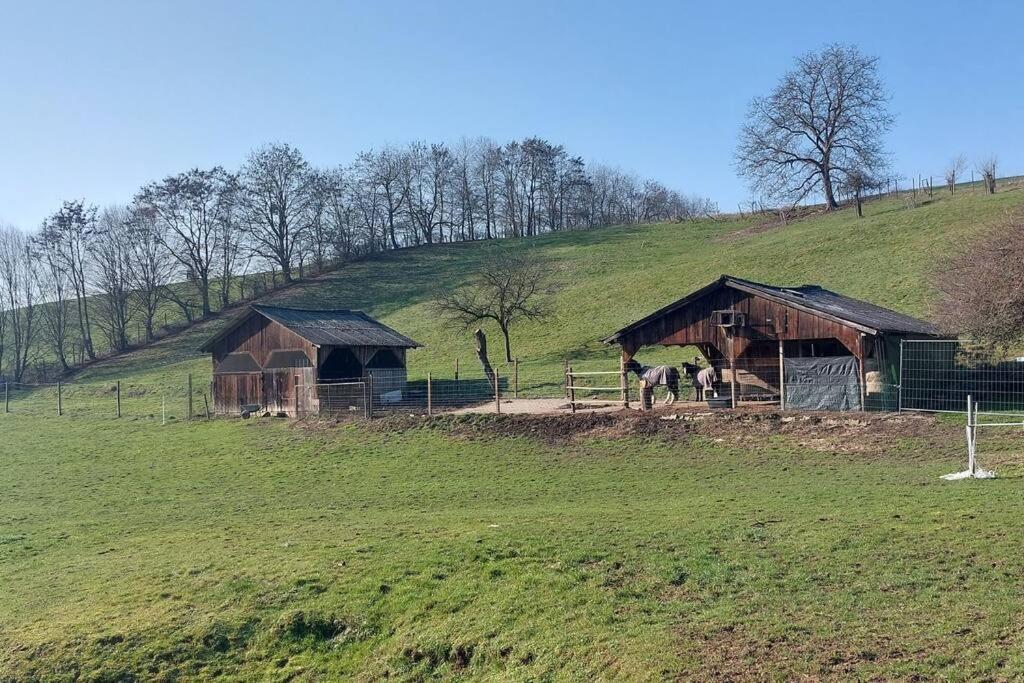 Grosse Tolle 4 Zimmer Ferienwohnung Im Herzen Des Odenwaldes Mörlenbach Eksteriør billede