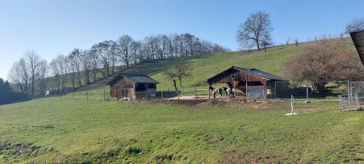 Grosse Tolle 4 Zimmer Ferienwohnung Im Herzen Des Odenwaldes Mörlenbach Eksteriør billede